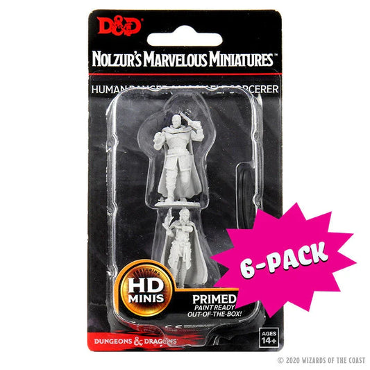 Human Ranger & Moon Elf Sorcerer (Bundle of 6) (New in Box)