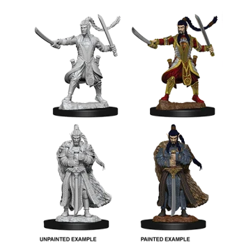 Male Elf Paladin (New in Box)