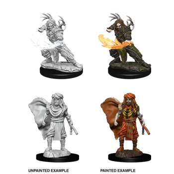 Male Human Druid (Unpainted)
