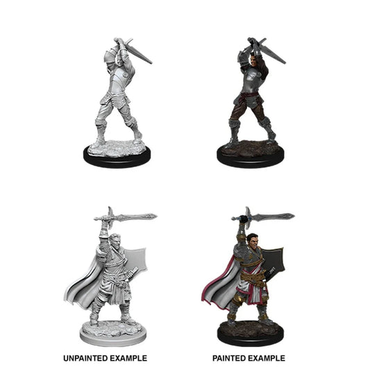 Male Human Paladin (Custom Painted)