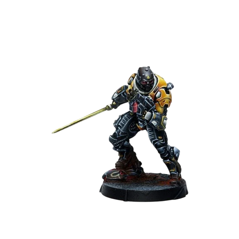 Infinity - Húláng Shocktroopers (Combi Rifle + Light FT) Yu Jing (New in Box)