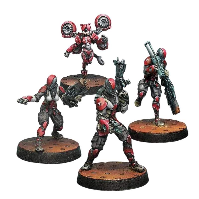 Infinity - Tomcats, Special Rescue Team Nomads (Custom Painted) (Assembled)