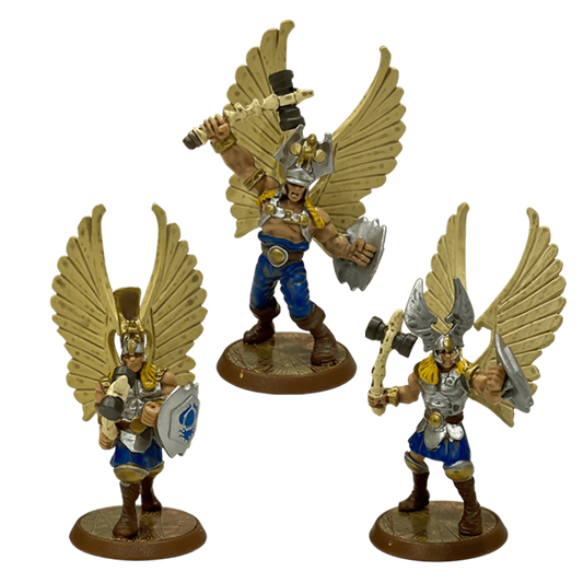 Sentinels of Jandar Prepainted Miniatures From Heroscape Expansion Set: Jandar's Oath