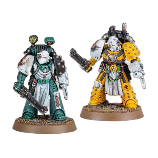 Apothecarion Detachment (Custom Painted) (Assembled) From Warhammer 40k on Wargame Trader