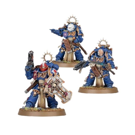 Bladeguard Veterans (Custom Painted) (Assembled) From Warhammer 40k on Wargame Trader