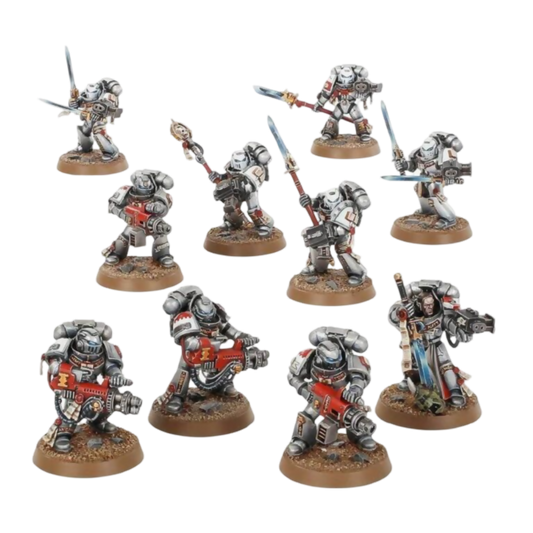 Grey Knights Purgation Squad (Custom Painted) (Assembled) From Warhammer 40k on Wargame Trader