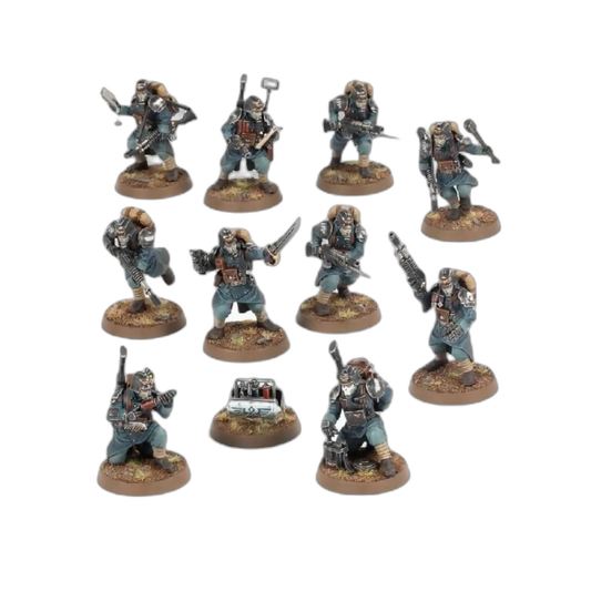 Kill Team: Veteran Guardsmen (Custom Painted) (Assembled) From Warhammer 40k on Wargame Trader