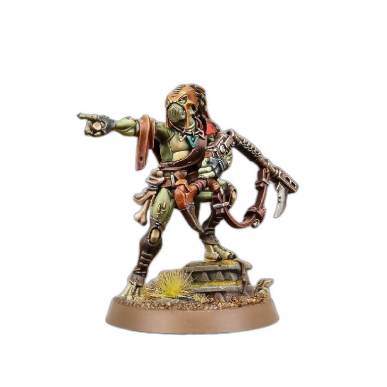 Kroot Trail Shaper (Custom Painted) (Assembled) From Warhammer 40k