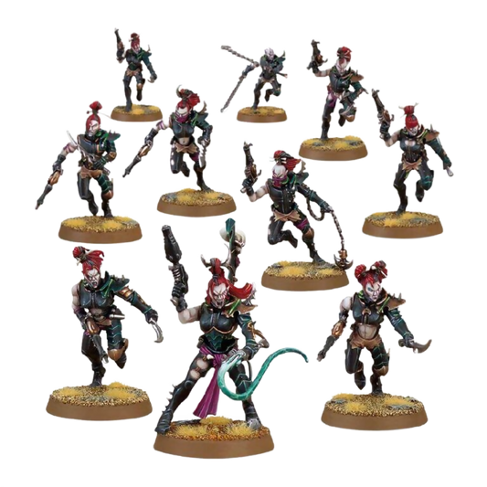 Wyches (Custom Painted) (Assembled) From Warhammer 40k on Wargame Trader