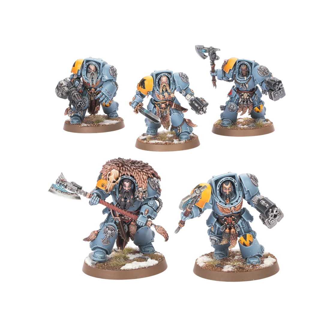 Wolf Guard Terminators (2025) (Custom Painted) (Assembled)