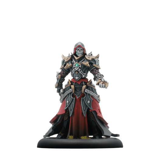 Dusk Fane of Nyrro Sythyss Overseer (New in Box)