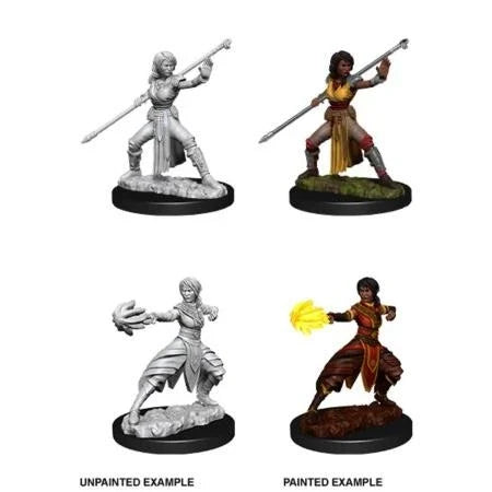 Female Half-Elf Monk (New in Box)