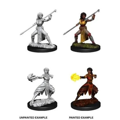Female Half-Elf Monk (New in Box)