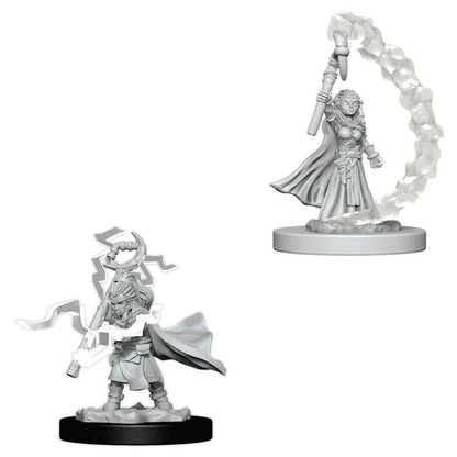 Gnome Female Sorcerer (Prepainted) (New in Box)